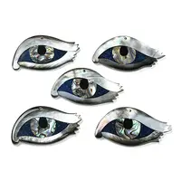 Natural Freshwater Shell & Black Lip Shell & Paua Shell & Natural White Shell Big Pendants