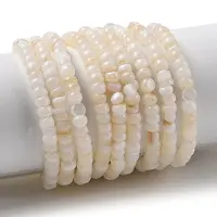 Natural Freshwater Shell Beads Strands