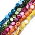 Natural Freshwater Shell Beads Strands