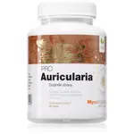 MycoMedica Auricularia PRO přírodní antioxidant 90 cps