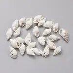 Spiral Shell Beads
