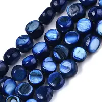 Natural Freshwater Shell Beads Strands