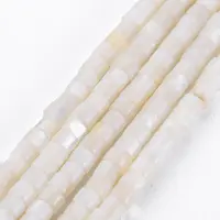 Natural Freshwater Shell Beads Strands