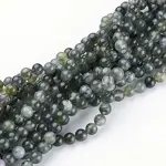 Natural Moss Agate Beads Strands