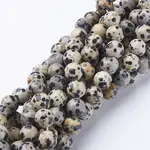 Natural Dalmatian Jasper Beads Strands