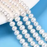 Natural Cultured Freshwater Pearl Beads Strands