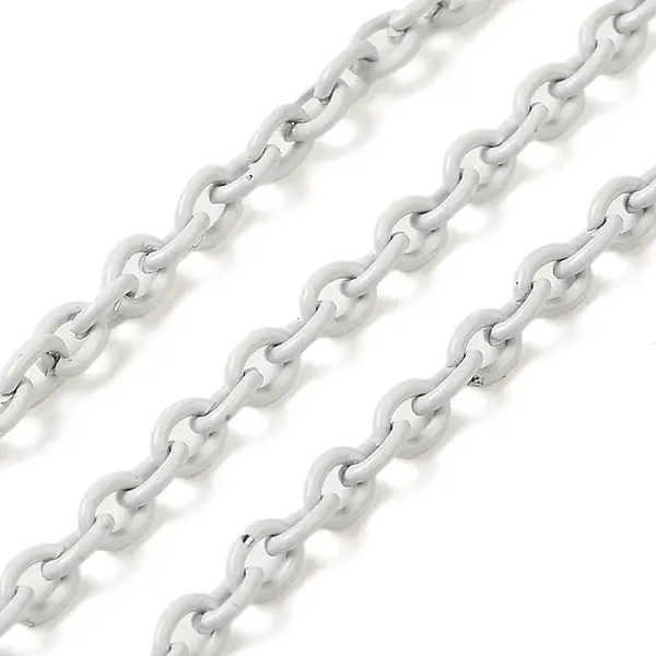 Spray Painted 304 Stainless Steel Cable Chains