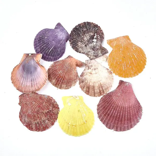 Sea Shell Beads