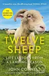 Twelve Sheep (Life lessons from a lambing season) - John Connell