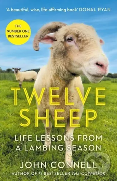 Twelve Sheep (Life lessons from a lambing season) - John Connell