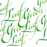 Kaligrafický inkoust W&N 30ml – 341 Leaf Green