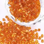 FGB Grade A Glass Seed Beads