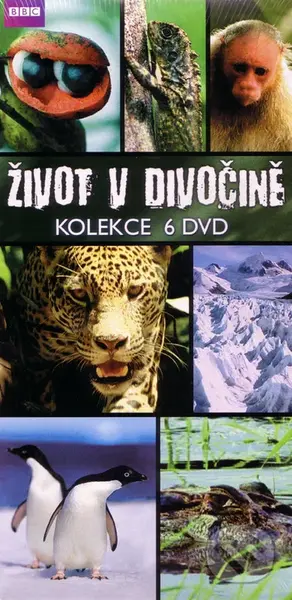 Kolekcia: BBC edícia: Život v divočine - 6 DVD - N/A - film z kategorie Přírodopisné dokumenty