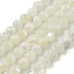Natural Trochid Shell/Trochus Shell Beads Strands