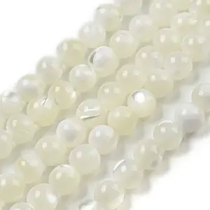 Natural Trochid Shell/Trochus Shell Beads Strands