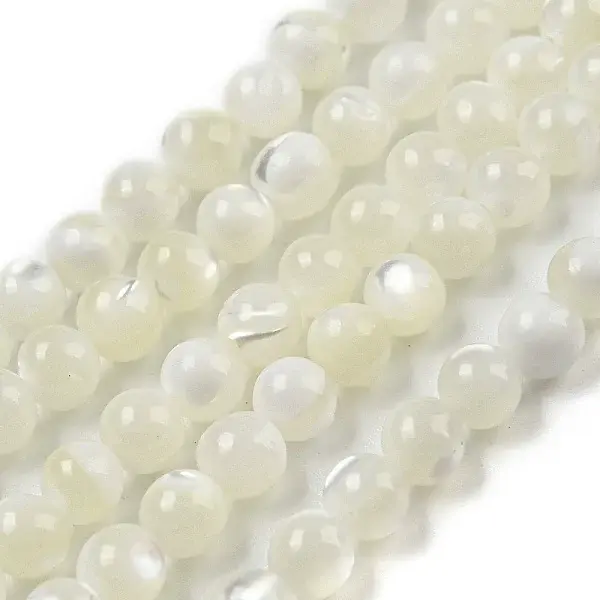 Natural Trochid Shell/Trochus Shell Beads Strands