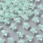 Transparent Acrylic Beads