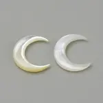 Natural White Shell Mother of Pearl Shell Cabochons