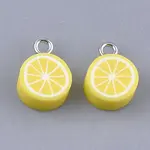 Handmade Polymer Clay Charms