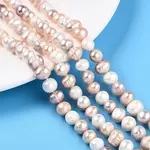 Natural Cultured Freshwater Pearl Beads Strands