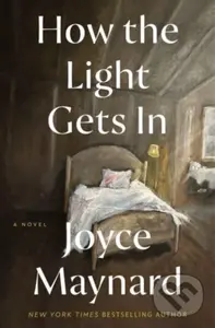 How the Light Gets In (A Novel) - Maynard Joyce