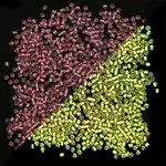 Glow in the Dark Luminous Transparent Glass Round Seed Beads