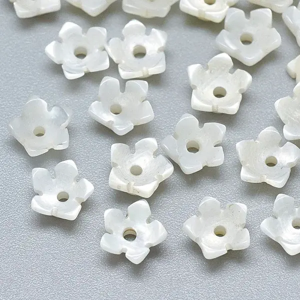 Natural White Shell Beads
