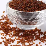 Glass Seed Beads