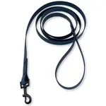 PafDog® Voděodolné gumové vodítko s poutkem na ruku, modré PAF-301