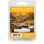 Kringle Candle Amberwood Moss vosk do aromalampy 64 g