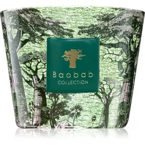 Baobab Collection Sacred Trees Touba vonná svíčka 500 g