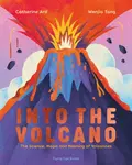 Into the Volcano - Catherine Ard