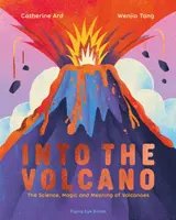 Into the Volcano - Catherine Ard