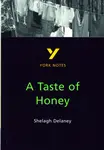 A Taste of Honey York Notes GCSE English Literature Study Guide - for 2026, 2027 exams - Bernadette Dyer