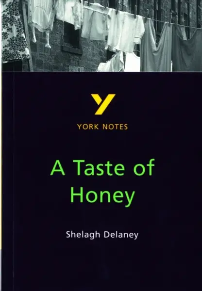 A Taste of Honey York Notes GCSE English Literature Study Guide - for 2026, 2027 exams - Bernadette Dyer