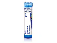 Ruta graveolens 9CH granule 4g