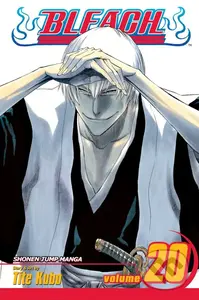 Bleach 20 - Tite Kub