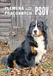 Plemená pracovných psov - Ján Zajac - kniha z kategorie Chov zvířat