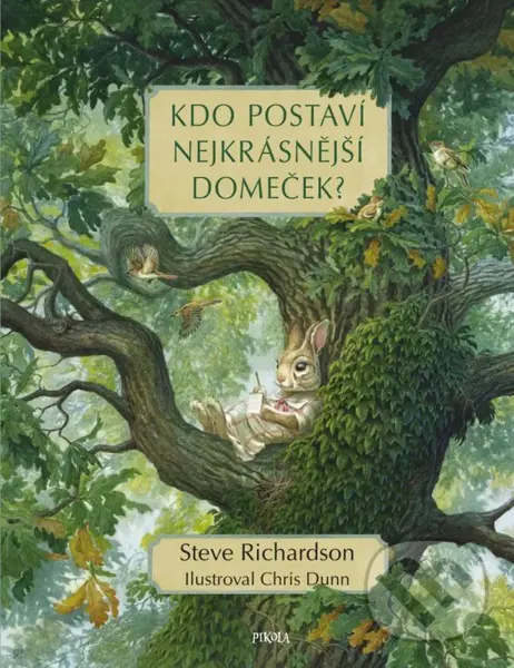 Kdo postaví nejkrásnější domeček? - Steve Richardson, Chris Dunn (ilustrátor)