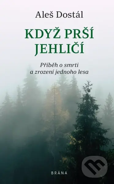 Když prší jehličí - Aleš Dostál