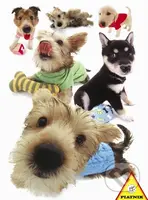 Hanadeka - Štěňata - puzzle z kategorie Umělecké