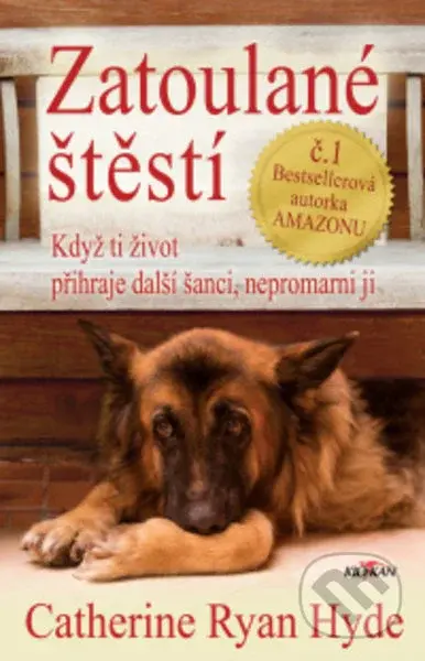 Zatoulané štěstí - Catherine Ryan Hyde - kniha z kategorie Společenská beletrie