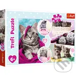 Koťata - puzzle z kategorie Zvieratá