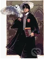 Malování podle čísel: Harry Potter - Harry a Hedvika v Bradavicích