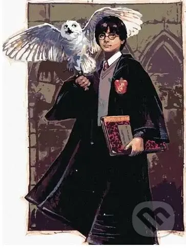 Malování podle čísel: Harry Potter - Harry a Hedvika v Bradavicích