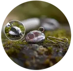 Redbass čeburaška standup vyměnitelná jigová zátěž 5 ks - 4 g