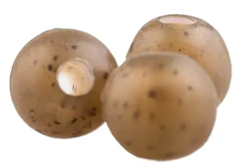 Zfish gumové korálky rubber beads 20 ks - průměr 4 mm