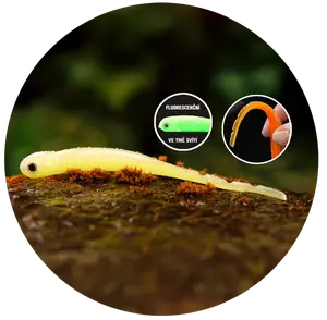 Redbass smáček big snake lemon uv color - 20 cm 24,5 g