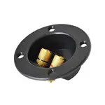 Reprosvorka RSA-3 2x kulatá zlatá pr. 74