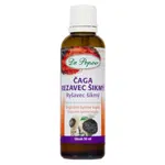 DR.POPOV Čaga rezavec šikmý bylinné kapky 50 ml